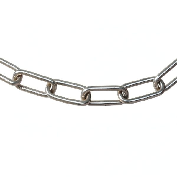 Stainless Steel Chain 20ft 5/32in Heavy Duty Coil by ZEONHEI 500lb-3